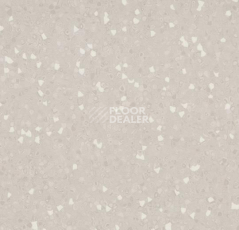 Линолеум Forbo Sphera Sd 550018 mortar фото 1 | FLOORDEALER